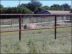 92120105.JPG