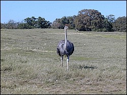92120106.JPG
