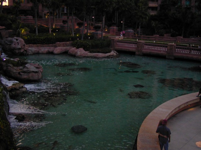 91010024.JPG