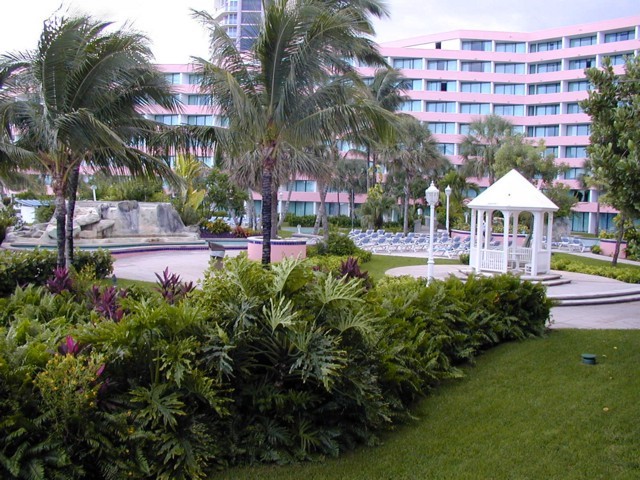 91020100.JPG