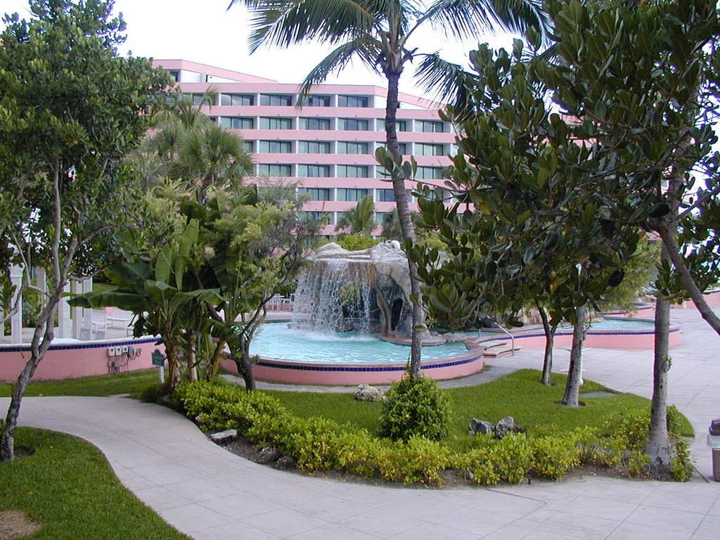 91020101.JPG