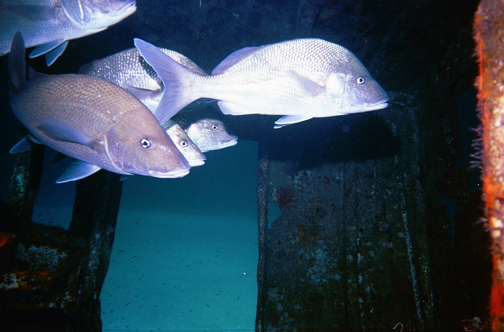 d-004_04.jpg
