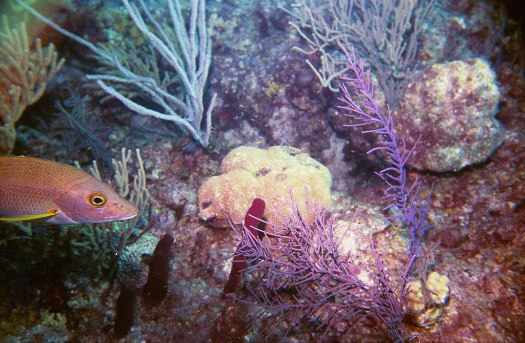 d-005_05.jpg