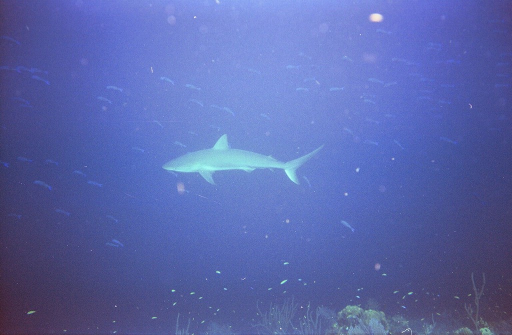 d-006_06.jpg