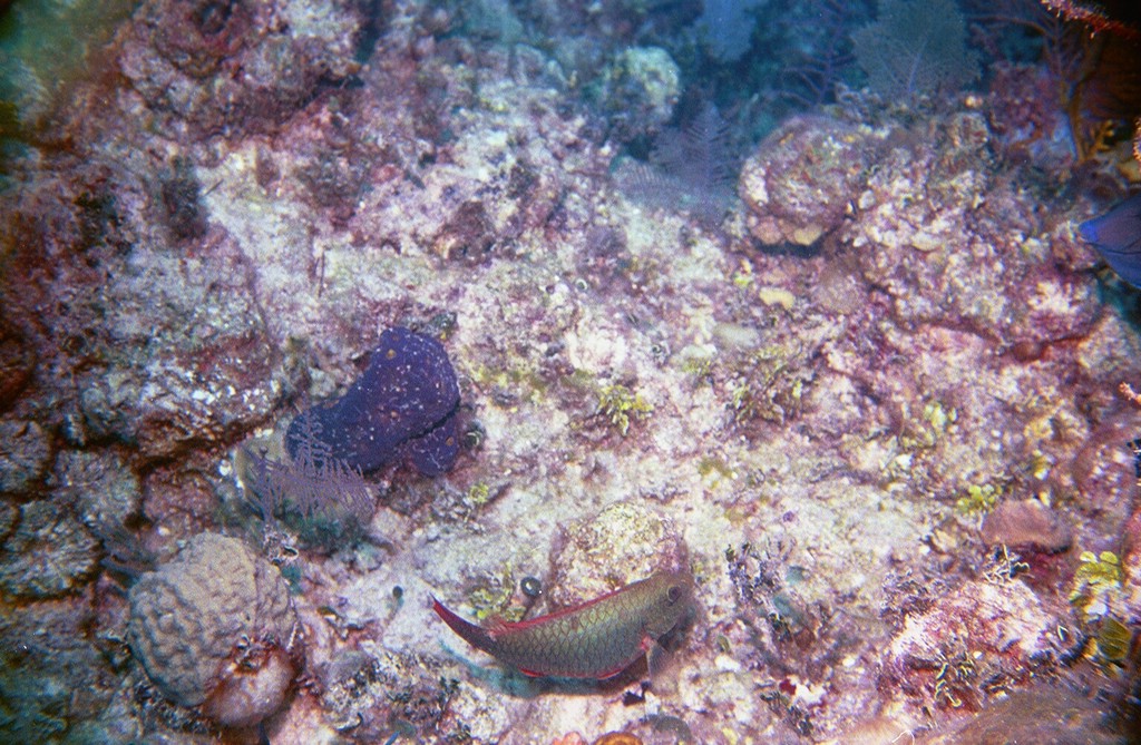 d-016_16.jpg