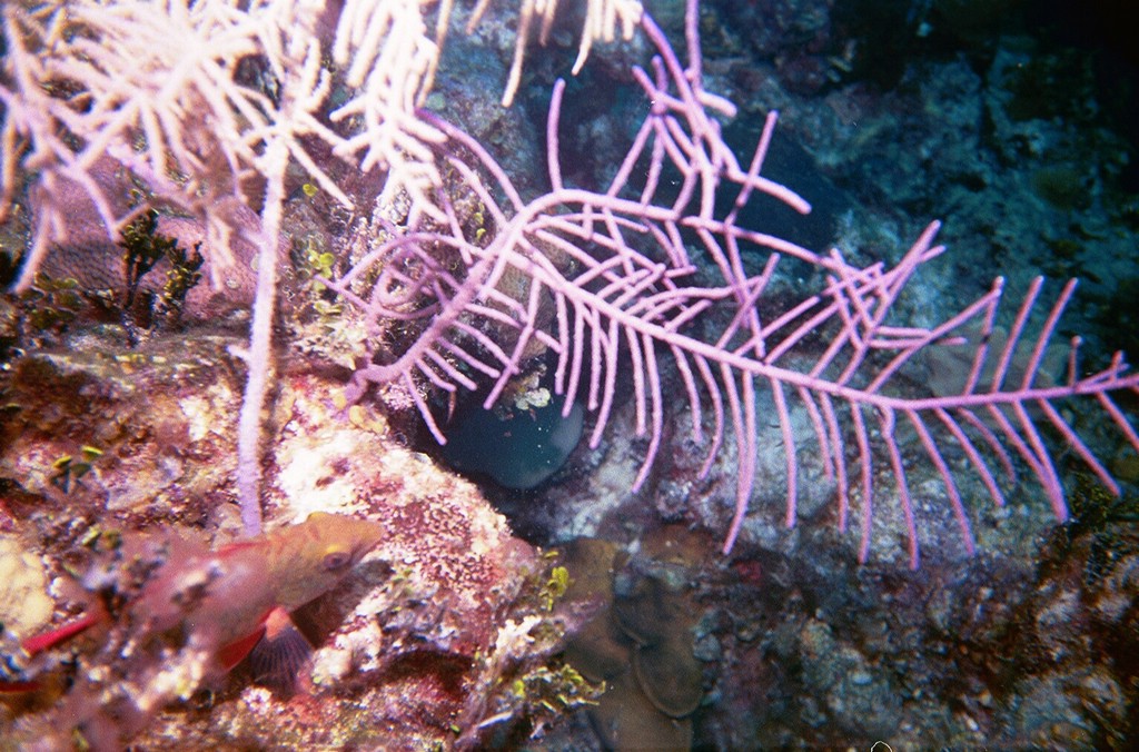 d-021_21.jpg
