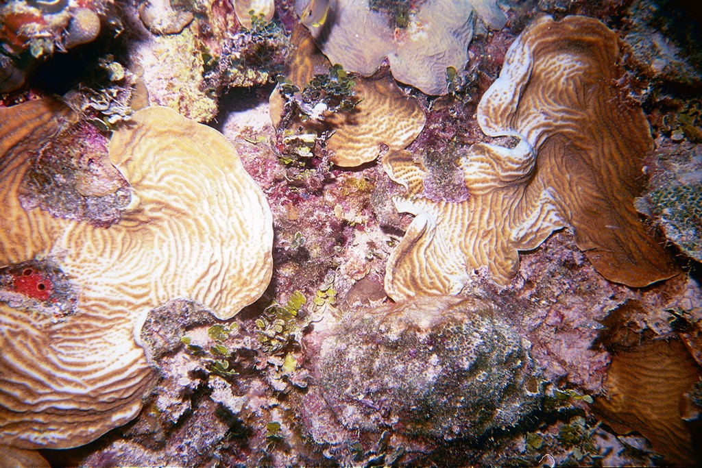 d-022_22.jpg