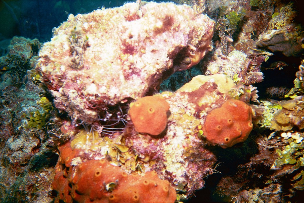 d-025_25.jpg