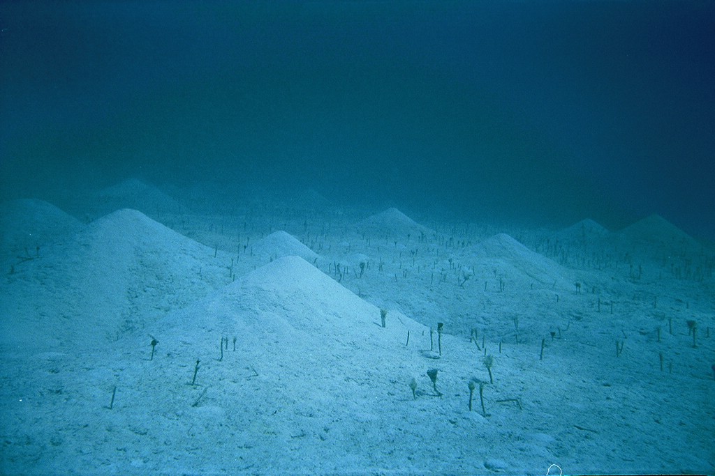 d-026_26.jpg