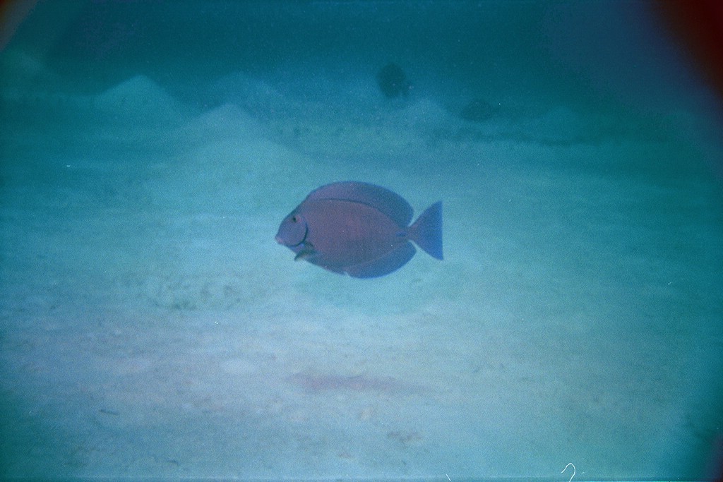 d-030_30.jpg