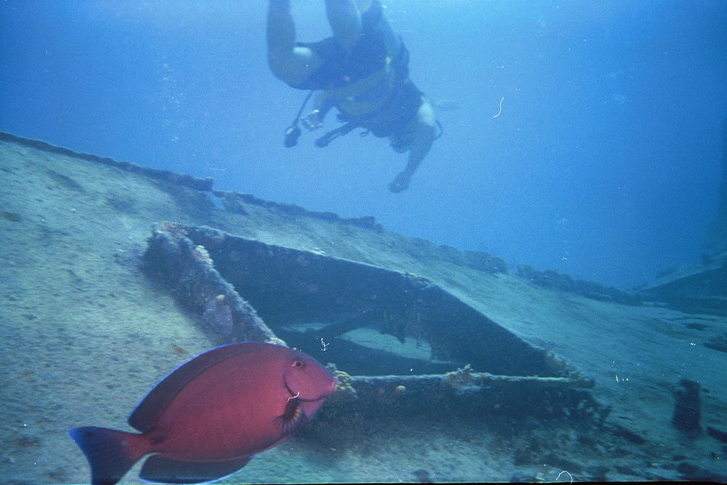 d-038_38.jpg