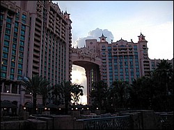 91010020.JPG