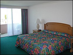91010027.JPG