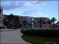 91020095.JPG