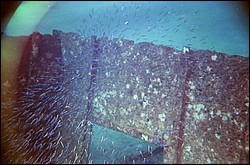 d-014_14.jpg