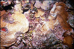 d-022_22.jpg