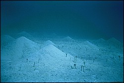 d-026_26.jpg