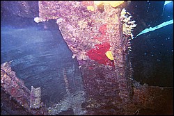 d-032_32.jpg