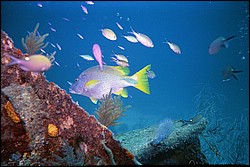 d-037_37.jpg
