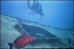 d-038_38.jpg