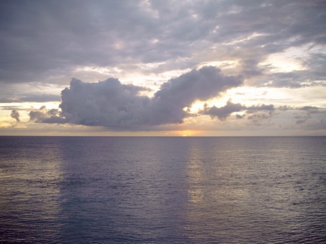 ySIMG0005.JPG