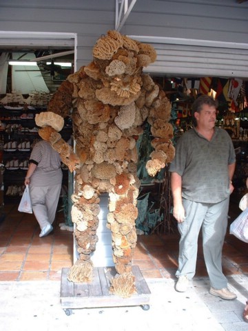 zzzDSCF0104.JPG