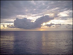 ySIMG0005.JPG