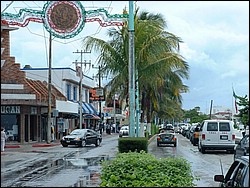 zzzDSCF0137.JPG