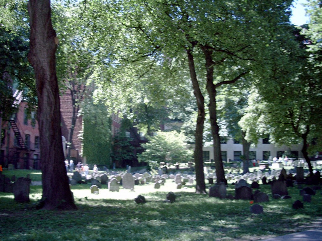 SIMG0003.JPG