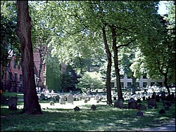 SIMG0003.JPG