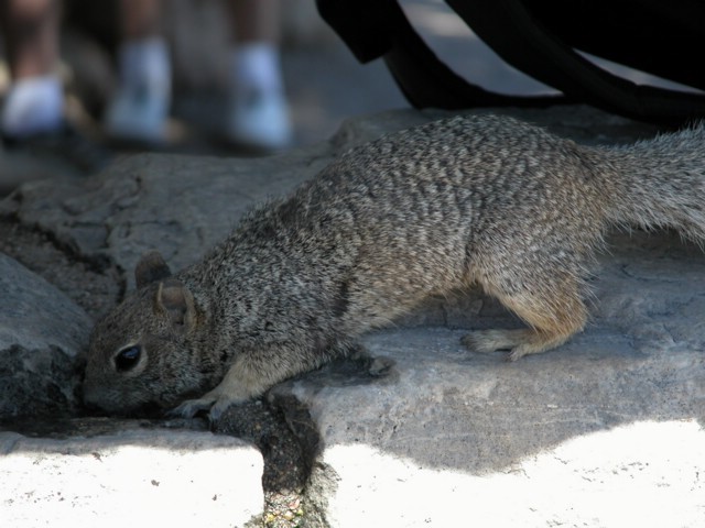 Image081.jpg