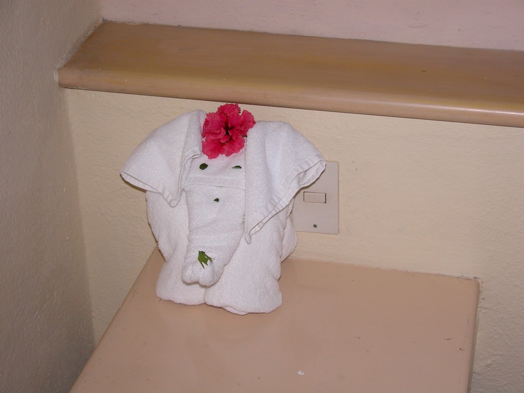 DSCN0127.JPG