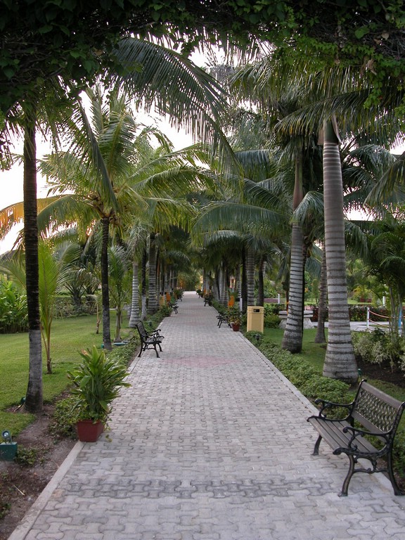DSCN0145.JPG