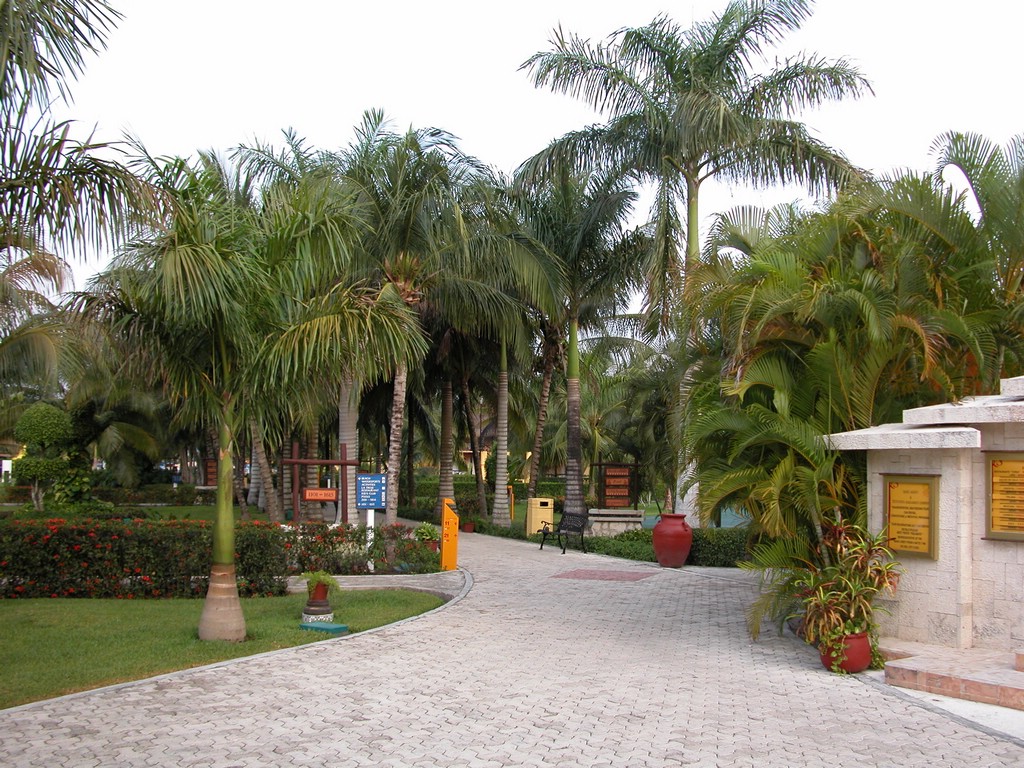 DSCN0151.JPG