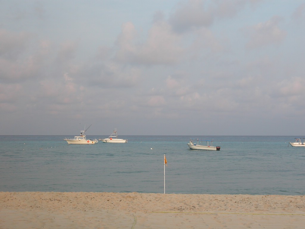DSCN0158.JPG
