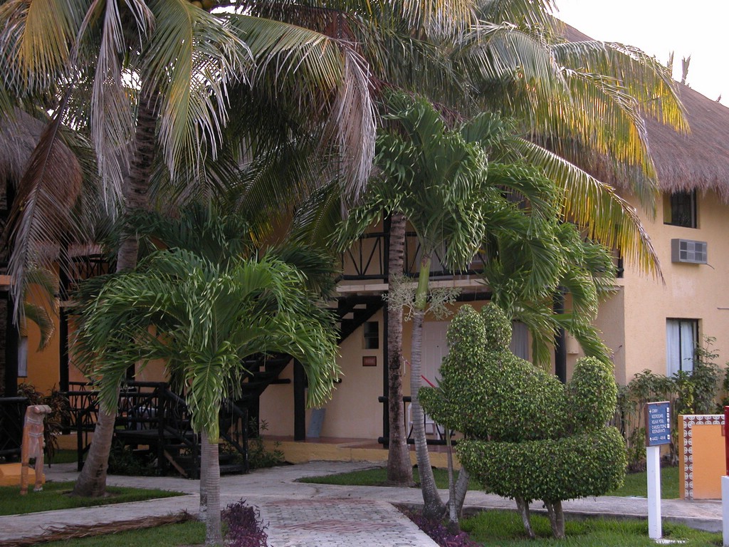 DSCN0162.JPG