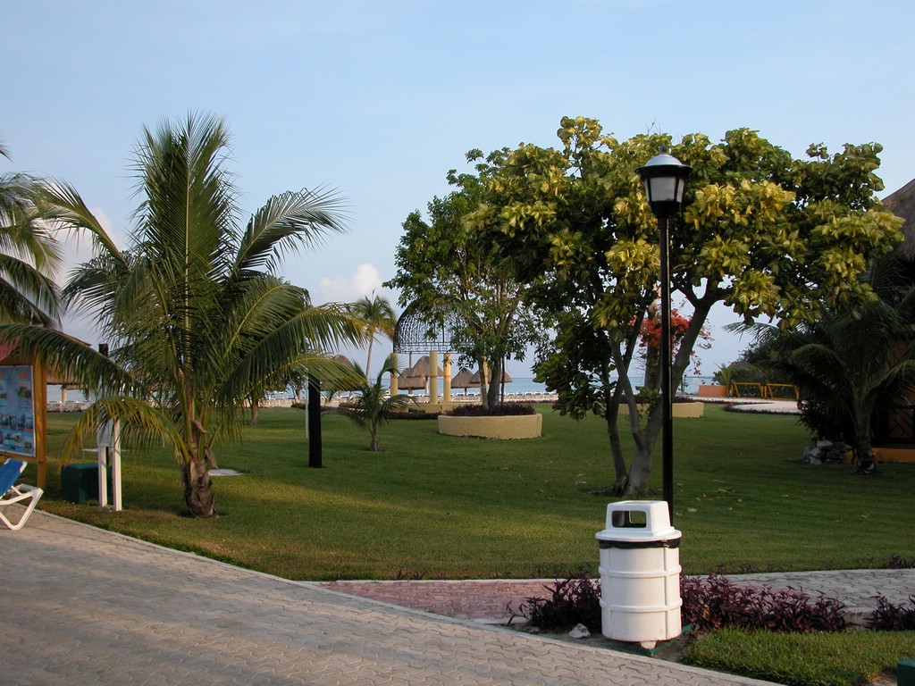 DSCN0166.JPG