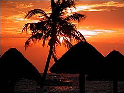 DSCN0140.JPG