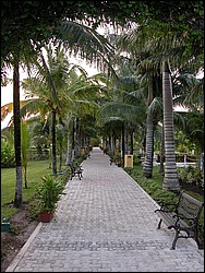 DSCN0145.JPG