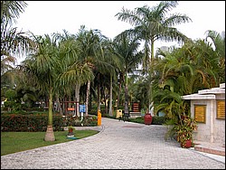 DSCN0151.JPG