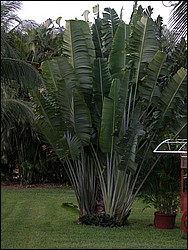 DSCN0154.JPG