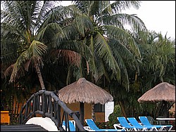 DSCN0155.JPG