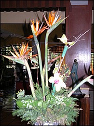 DSCN0271.JPG