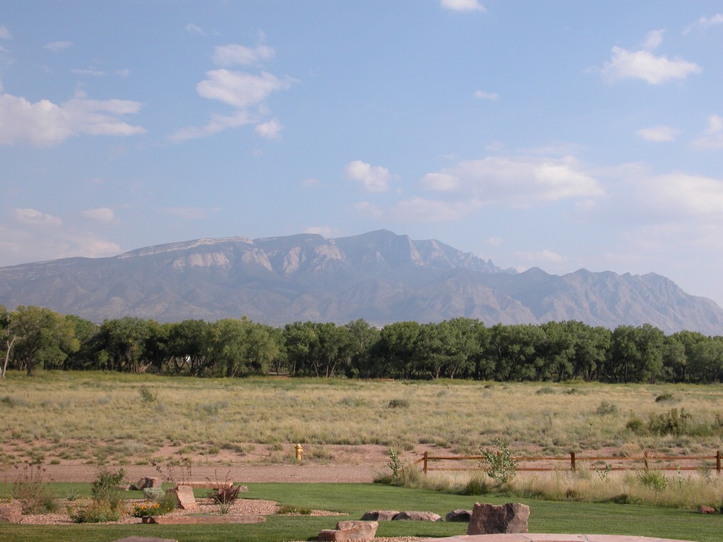 DSCN0436.JPG