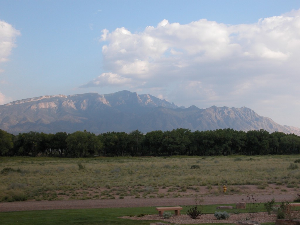 DSCN0442.JPG
