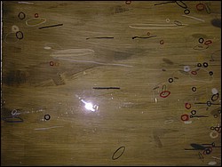 DSCN0376.JPG