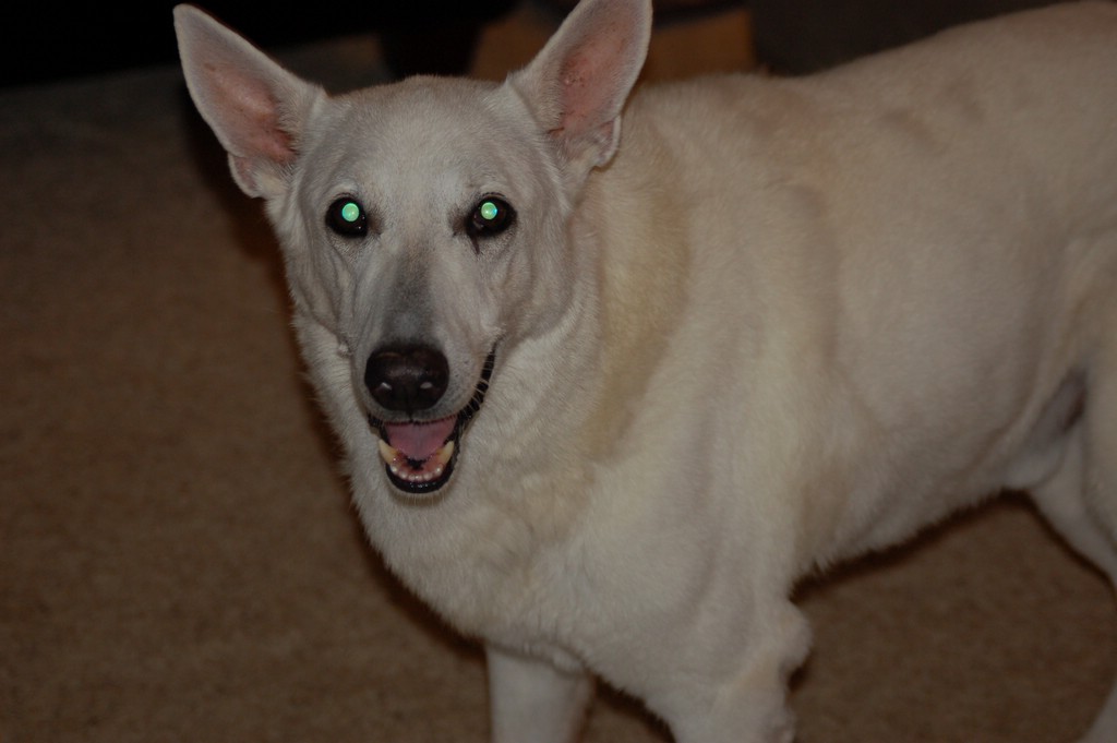 DSC_0003.JPG