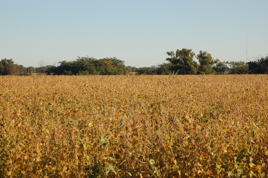 DSC_0022.JPG