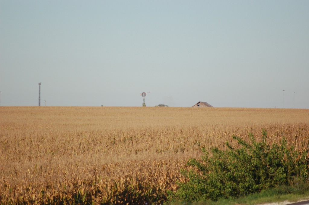 DSC_0023.JPG