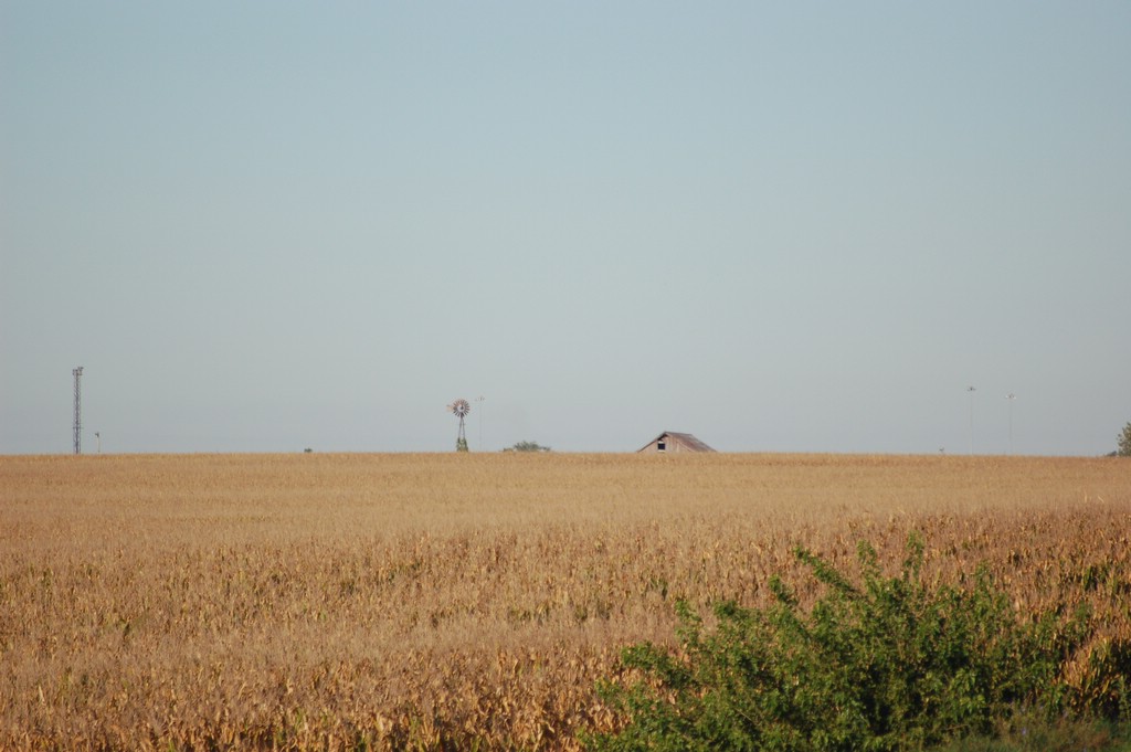 DSC_0024.JPG